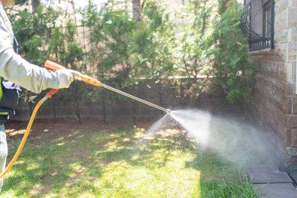 Best Best Pest Control Companies  in Fort Washington, MD