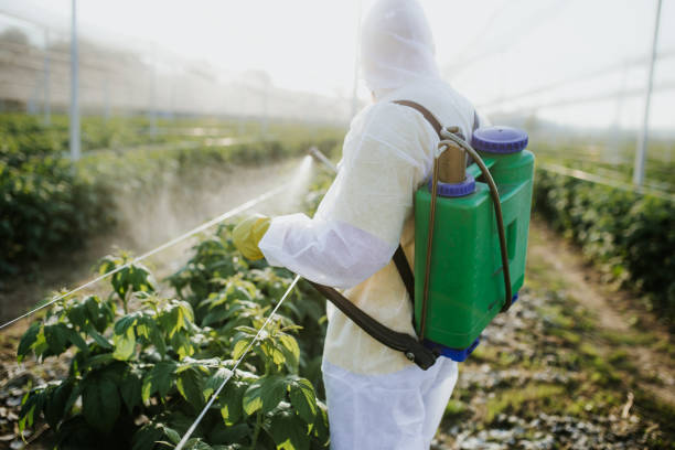 Best Best Pest Control Near Me  in Fort Washington, MD